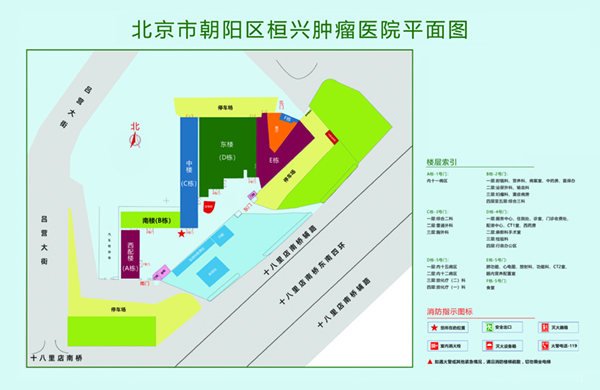 大鸡巴在逼逼抽插视频喷水了北京市朝阳区桓兴肿瘤医院平面图